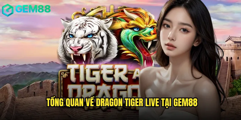 Tổng quan về dragon tiger live tại gem88