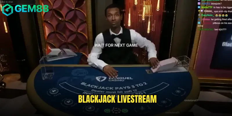 blackjack livestream